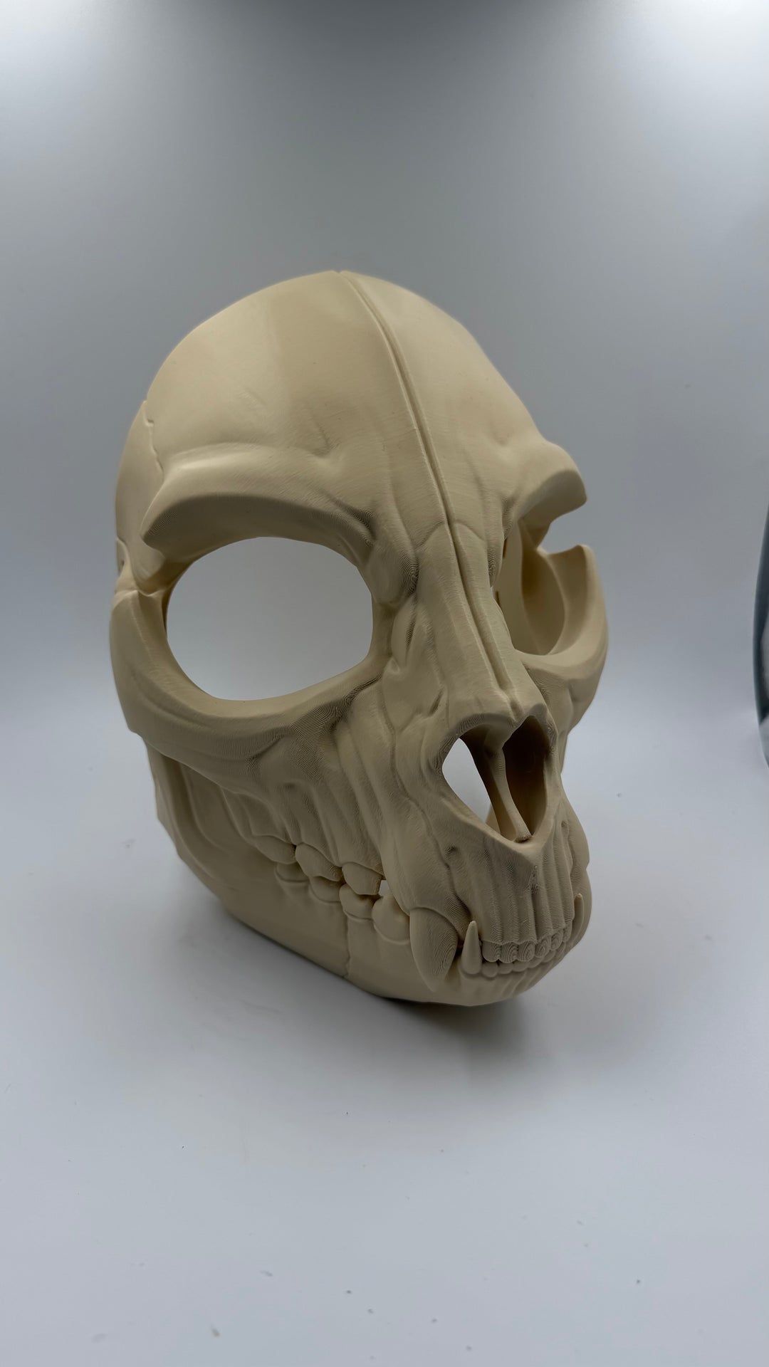 Feline Skull Mask with Moving Jaw | Realistic Animal Skull Cosplay Mask | Gothic Horror Cat Skull Helmet