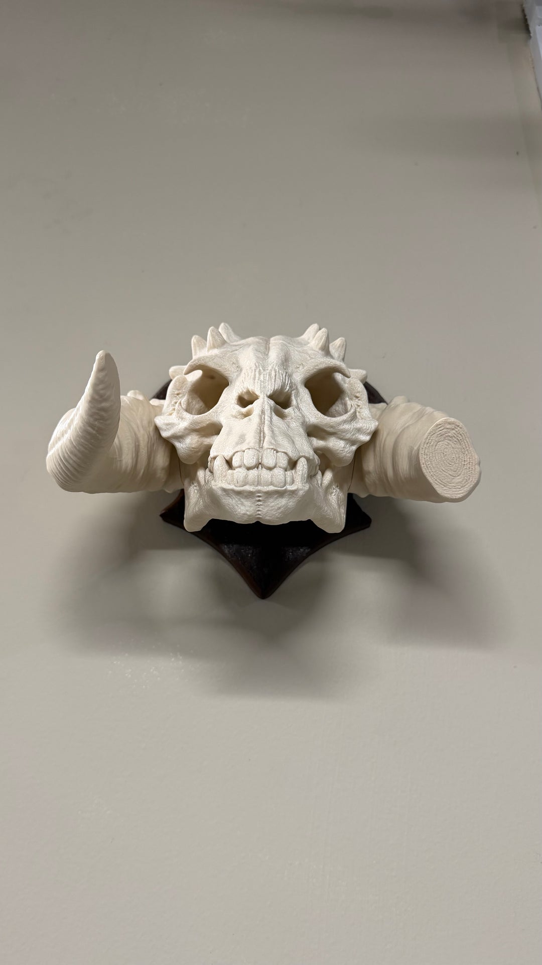 Tauntaun Skull Wall mount Plaque