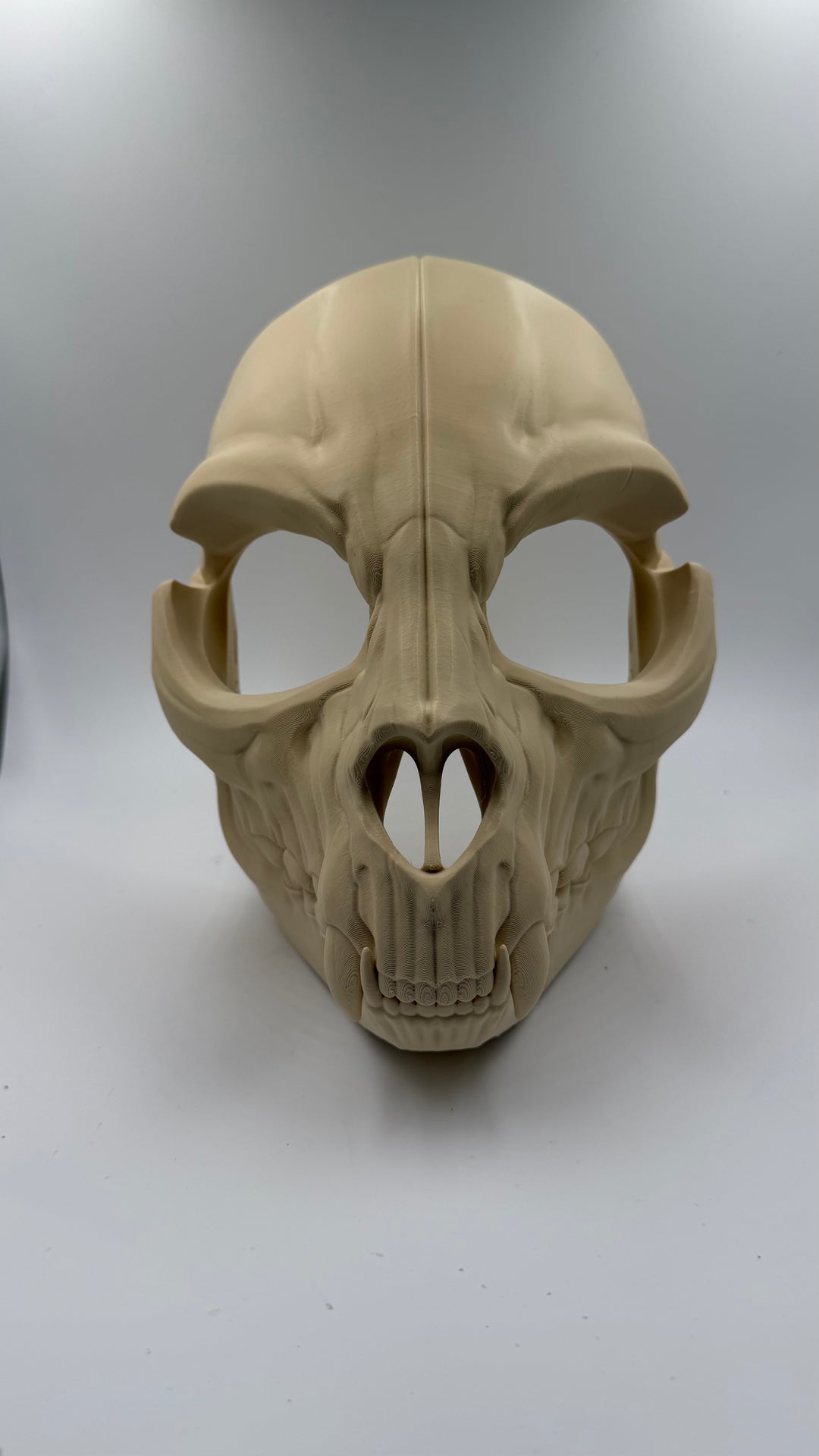 Feline Skull Mask with Moving Jaw | Realistic Animal Skull Cosplay Mask | Gothic Horror Cat Skull Helmet