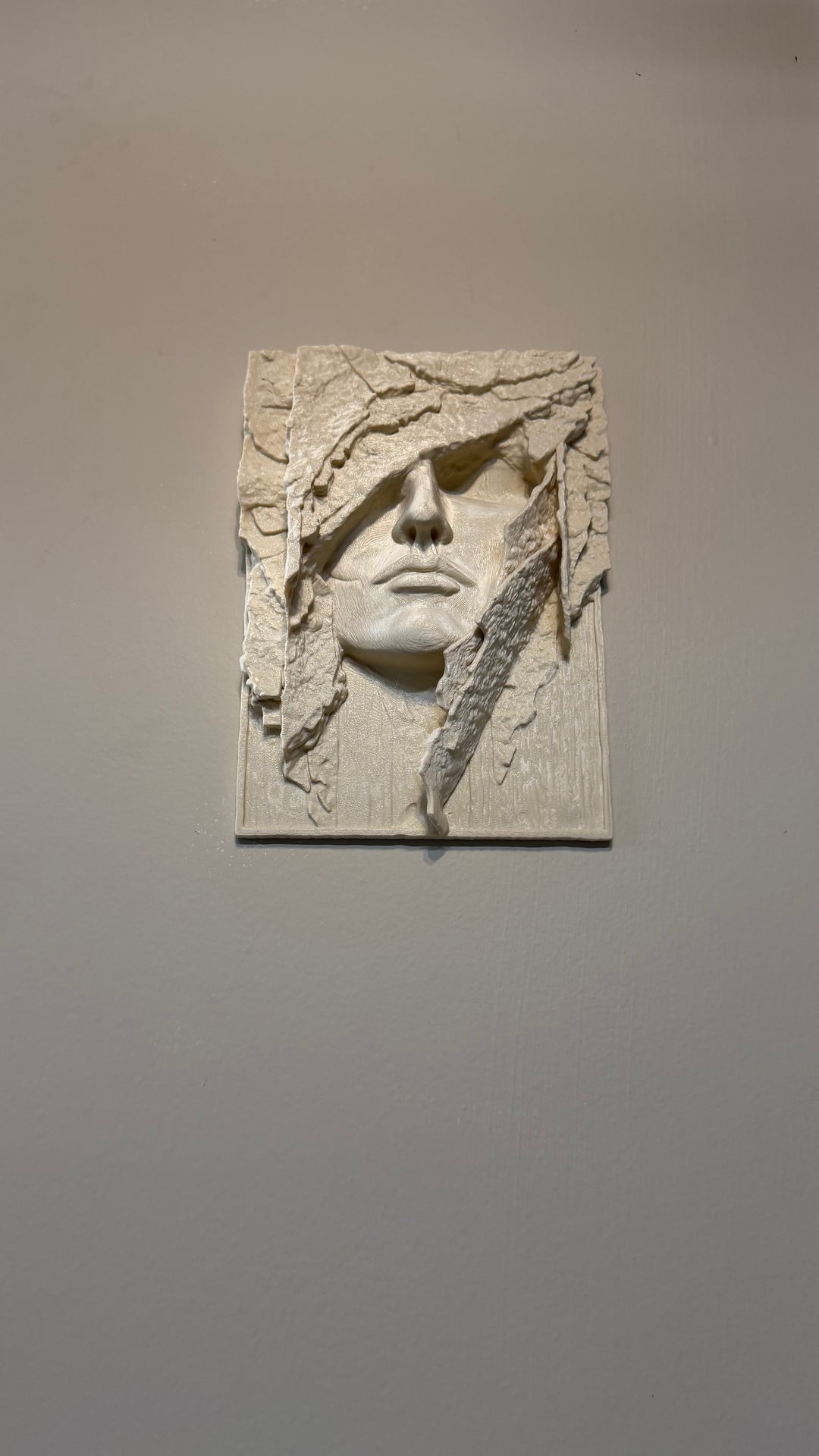 The Veiled Remnant Wall Plaque Artifact 3