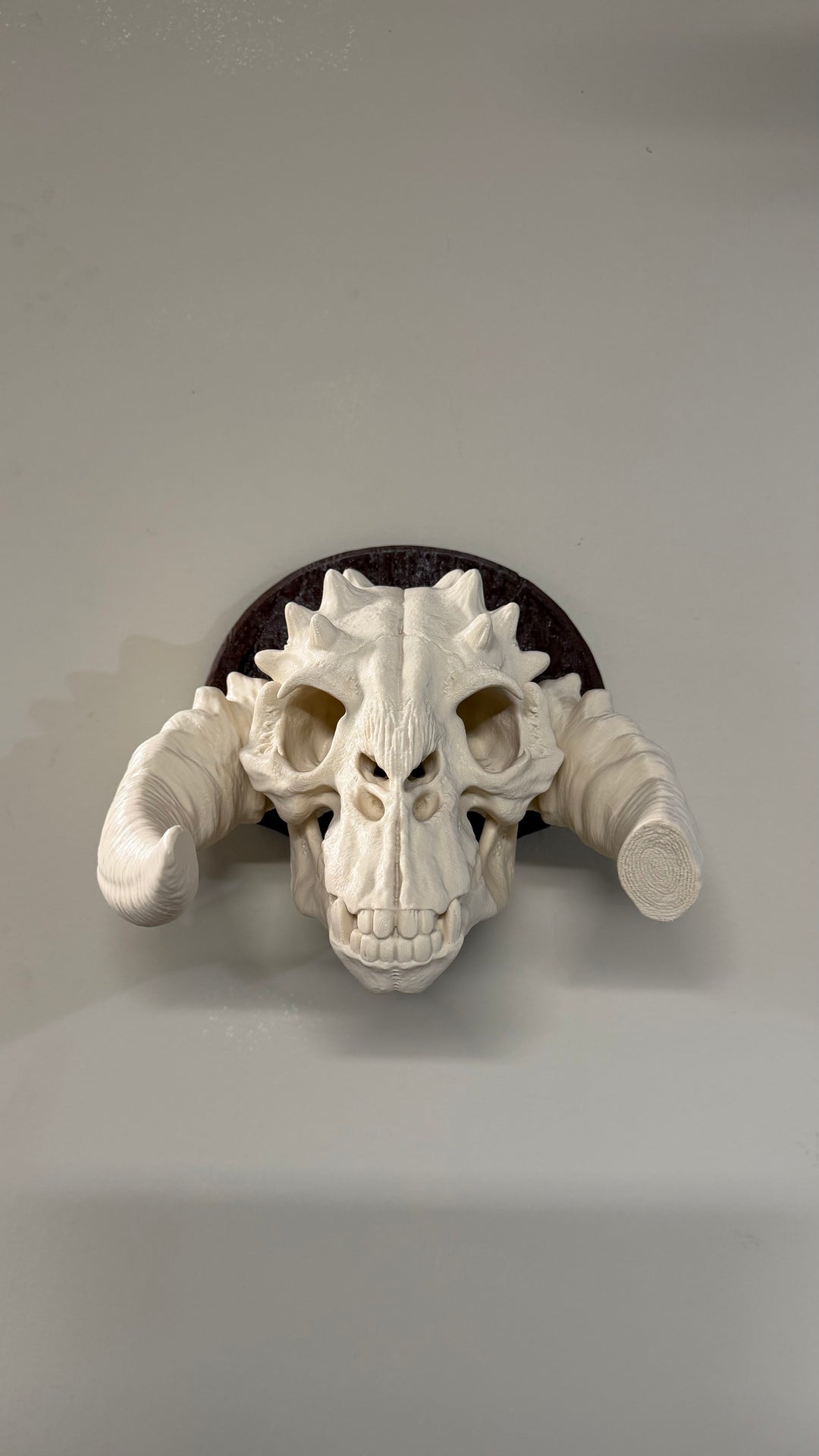 Tauntaun Skull Wall mount Plaque