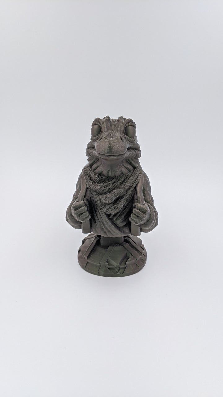 The Mandalorian, Frog Lady